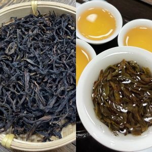凤凰单枞乌龙茶・企业试喝样品 | Phoenix Dancong Oolong Tea · B2B Sample Pack